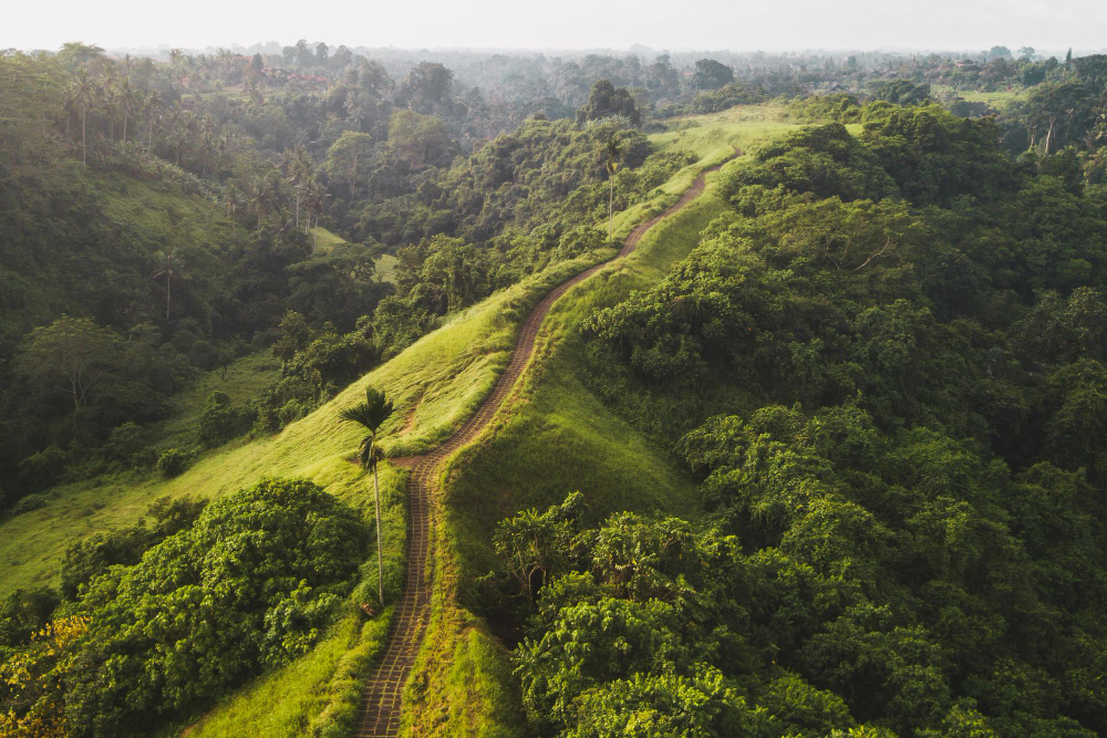 Ubud