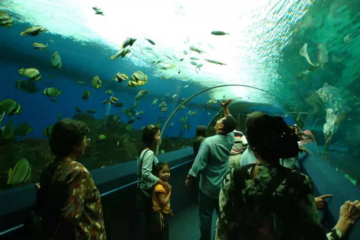  Underwater World