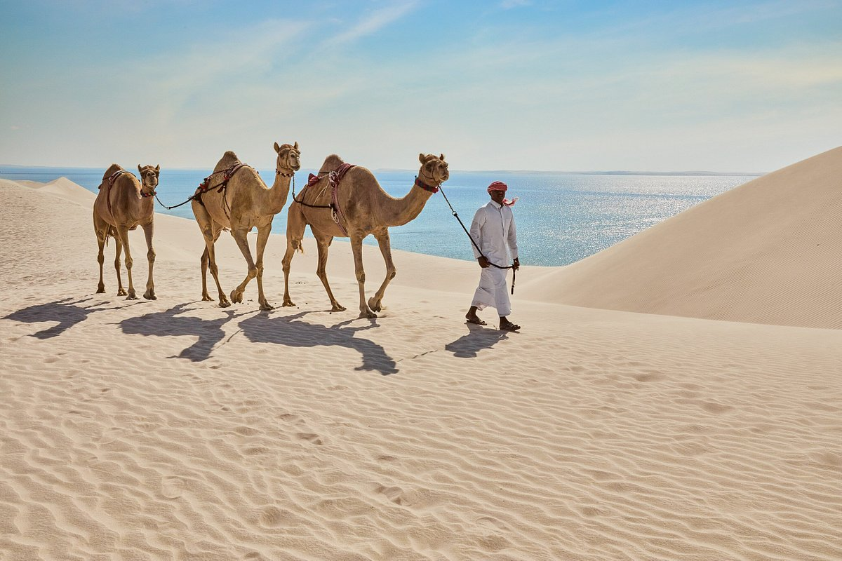 Road Trip Highlights: Attractions Along the Way