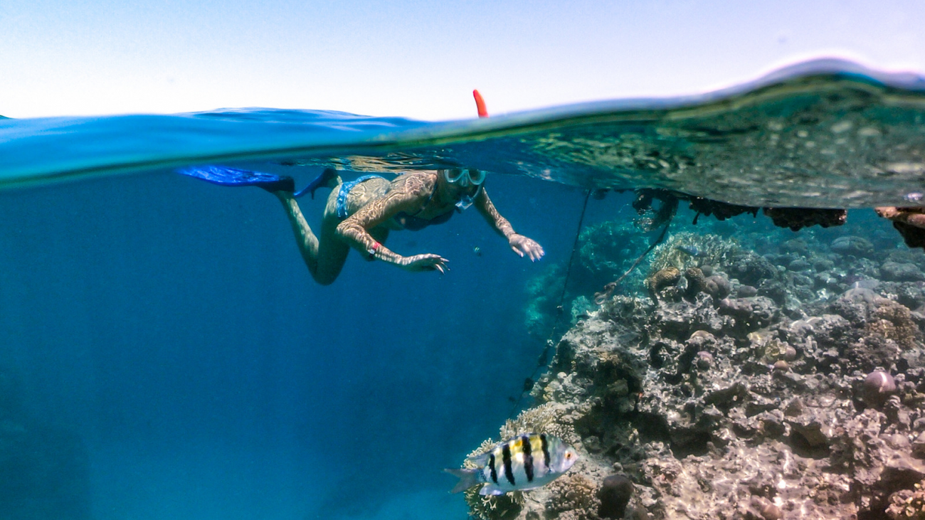 Man Snorkelling or Diving in the Coral Reefs of Koh Jum
