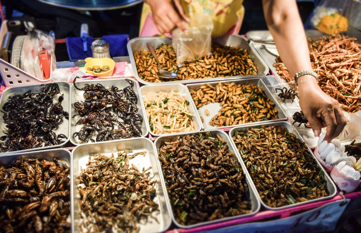 Khaosan Road