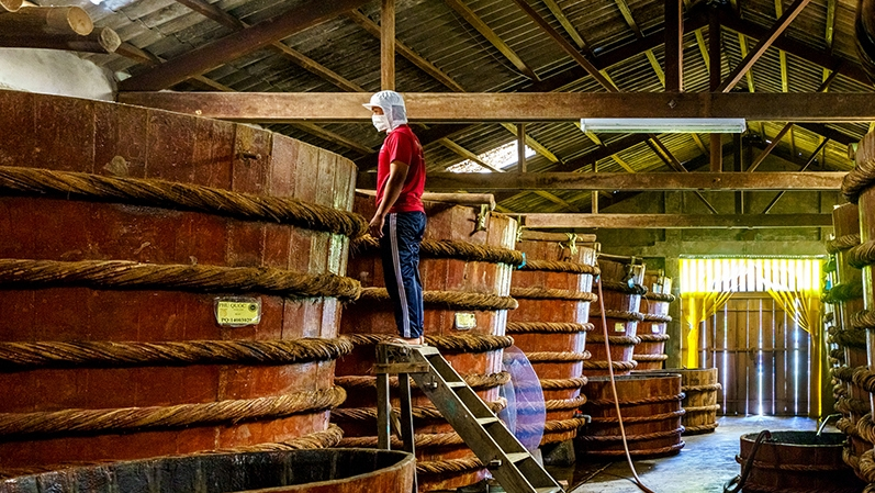 Man checking Phu Quoc Fish Sauce barrels